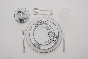 Aparelho de Jantar 30 peças Porcelana Laura - Schmidt
