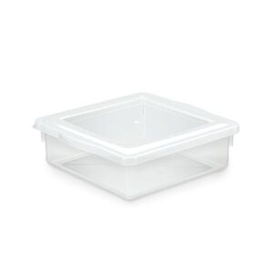 Caixa Organizadora 4,5 litros c/tampa transparente - Pleion