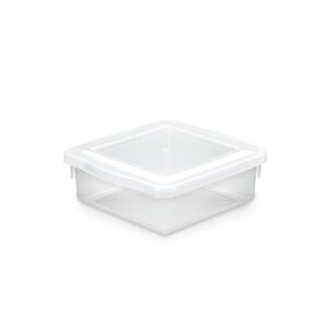 Caixa Organizadora 2,5 litros c/tampa transparente - Pleion